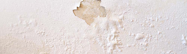 Traitements naturels contre la moisissure sur vos murs